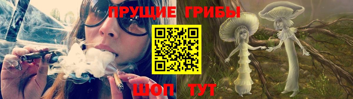 Клинцы  Псилоцибиновые грибы мухоморы  Вход с VPN 
